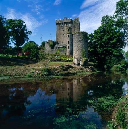 Lanesville B&B Blarney Luaran gambar